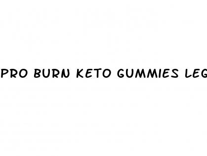 pro burn keto gummies legit