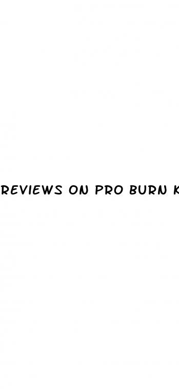 reviews on pro burn keto gummies