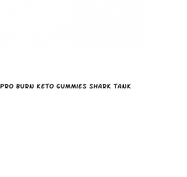 pro burn keto gummies shark tank