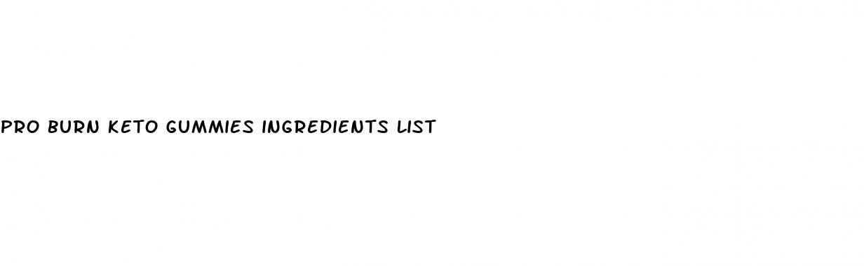 pro burn keto gummies ingredients list