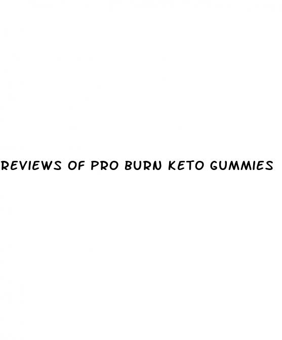 reviews of pro burn keto gummies