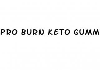 pro burn keto gummies scam