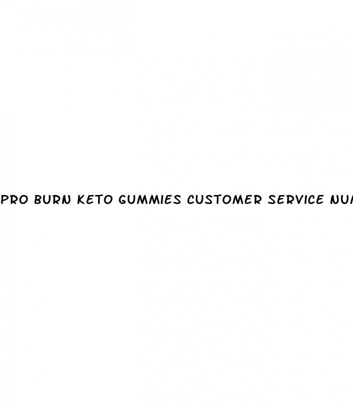 pro burn keto gummies customer service number