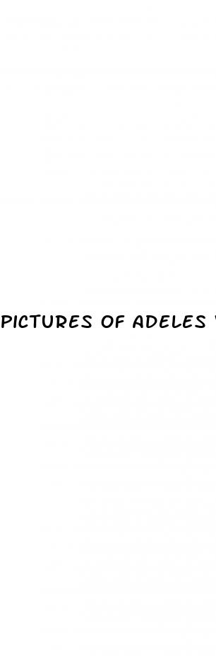 pictures of adeles weight loss