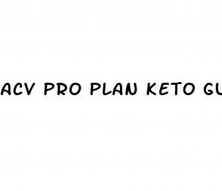 acv pro plan keto gummies reviews