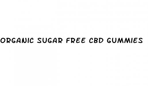 organic sugar free cbd gummies