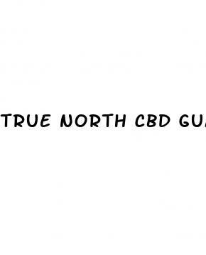 true north cbd gummies para que sirve