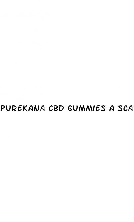 purekana cbd gummies a scam