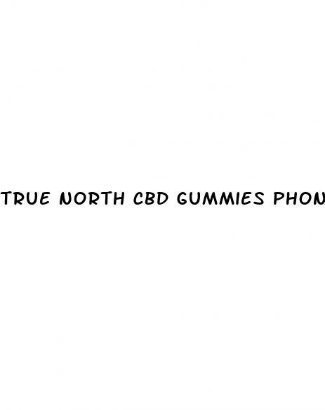 true north cbd gummies phone number