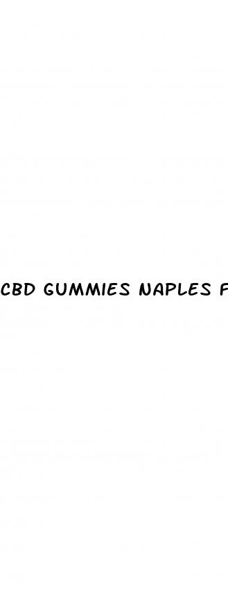 cbd gummies naples florida