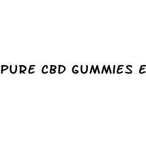 pure cbd gummies email