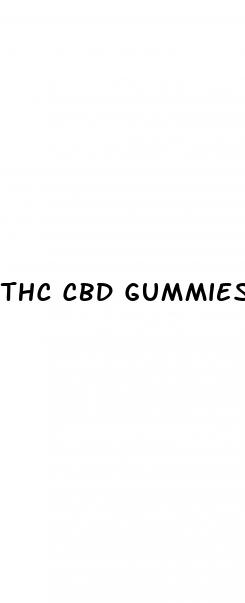 thc cbd gummies ratio