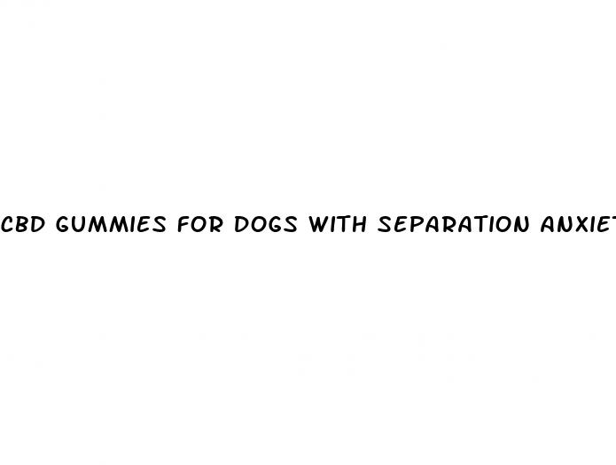 cbd gummies for dogs with separation anxiety