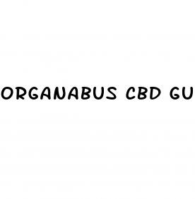 organabus cbd gummies reviews