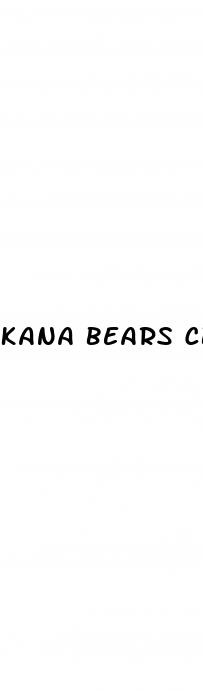 kana bears cbd gummies