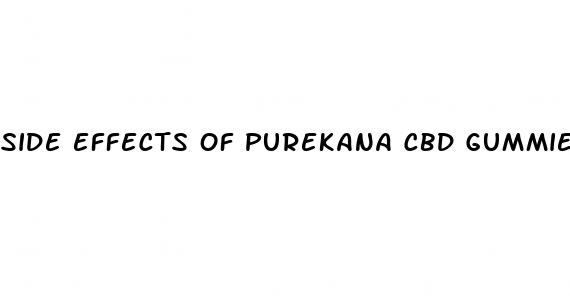 side effects of purekana cbd gummies