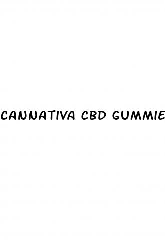 cannativa cbd gummies