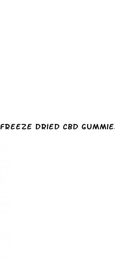 freeze dried cbd gummies