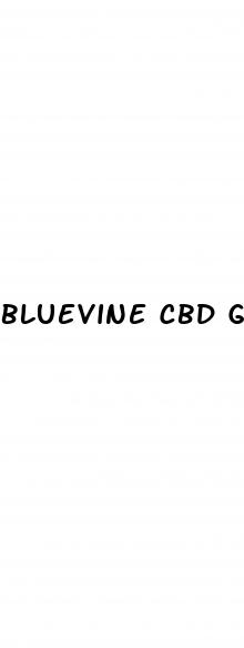 bluevine cbd gummies amazon