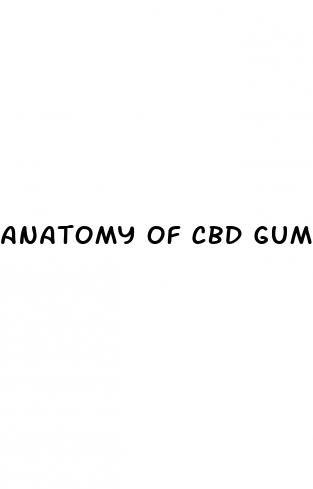 anatomy of cbd gummies