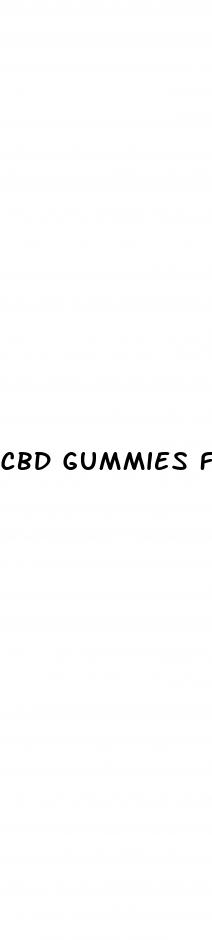 cbd gummies for puppies