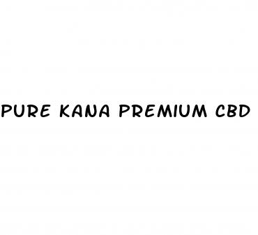 pure kana premium cbd gummies for ed