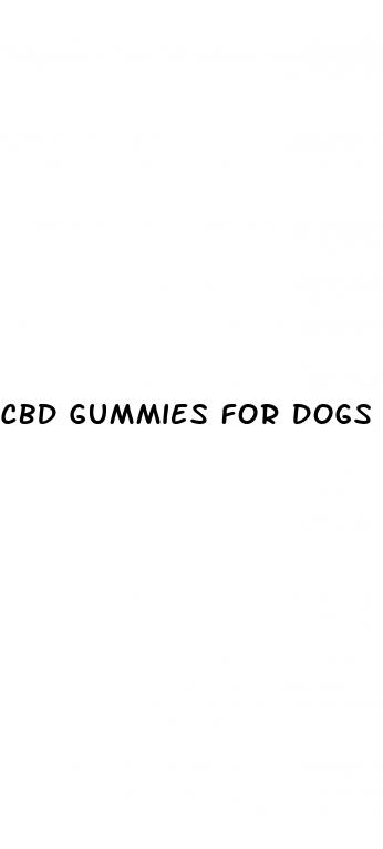 cbd gummies for dogs for pain