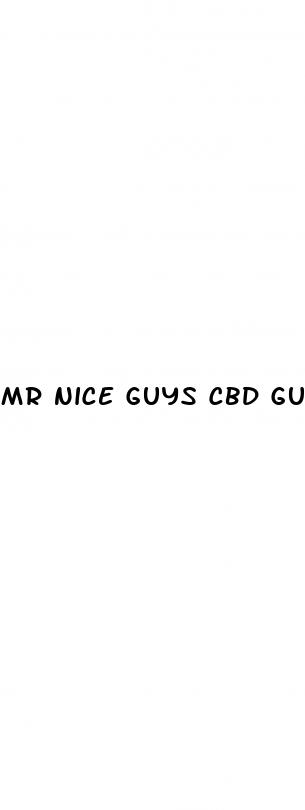 mr nice guys cbd gummies