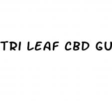 tri leaf cbd gummies review