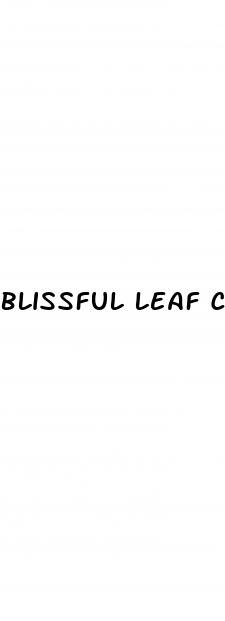 blissful leaf cbd gummies