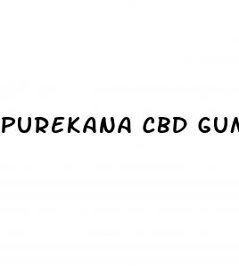 purekana cbd gummies quit smoking