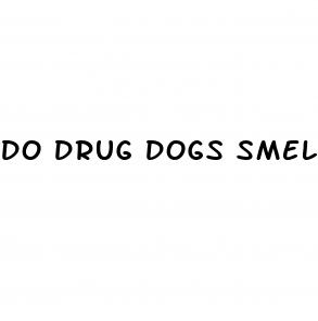 do drug dogs smell cbd gummies