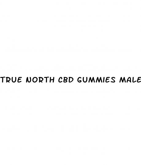 true north cbd gummies male enhancement reviews