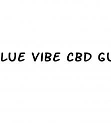 lue vibe cbd gummies