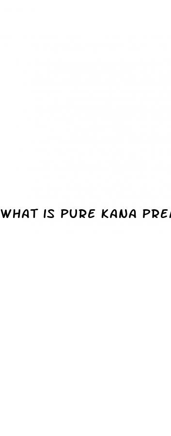 what is pure kana premium cbd gummies