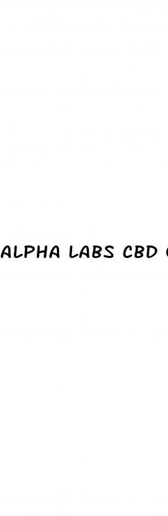 alpha labs cbd gummies reviews