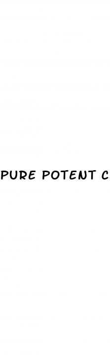 pure potent cbd gummies review