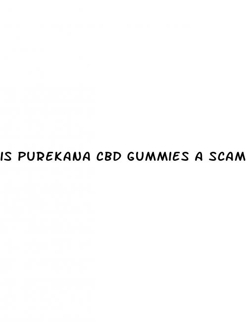 is purekana cbd gummies a scam