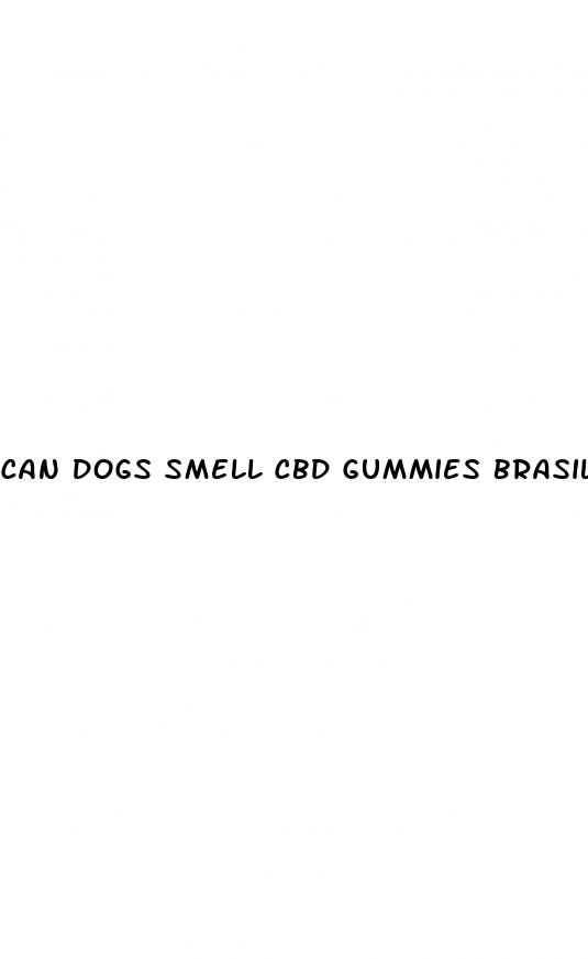 can dogs smell cbd gummies brasil