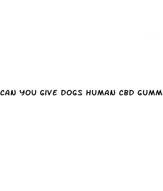 can you give dogs human cbd gummies