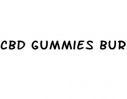 cbd gummies burlington vt