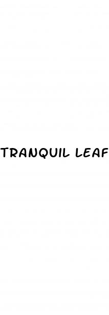 tranquil leaf cbd gummies