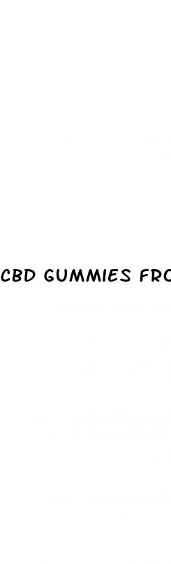 cbd gummies from mari