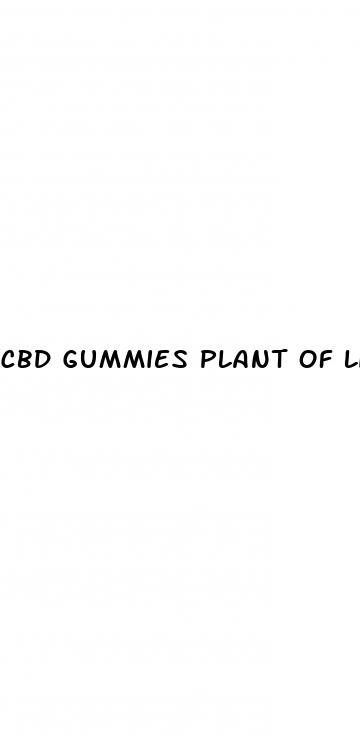 cbd gummies plant of life