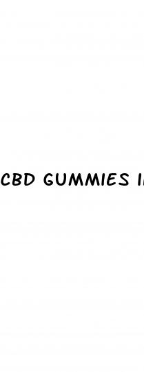 cbd gummies in the pouch