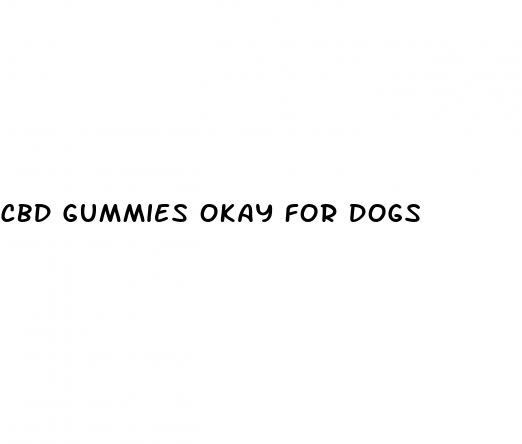 cbd gummies okay for dogs