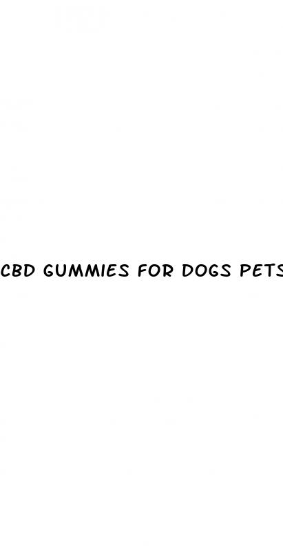 cbd gummies for dogs petsmart