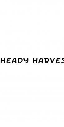 heady harvest cbd gummies 200mg