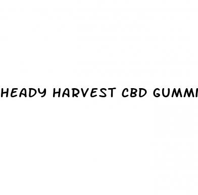 heady harvest cbd gummies 1000mg