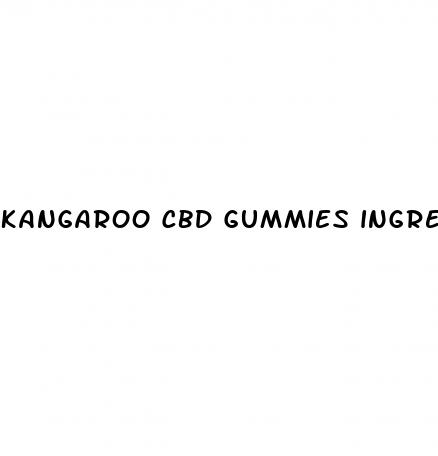 kangaroo cbd gummies ingredients